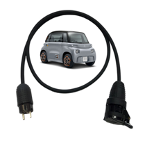 Citroen Ami compatible extension lead (for type 2 charging adaptor)